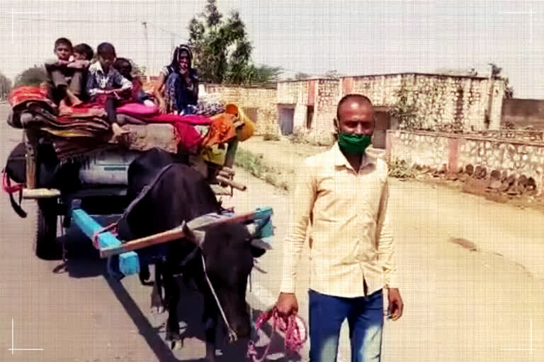 Migrant labourer yokes himself to cart, pulls family over 100 kms to reach home