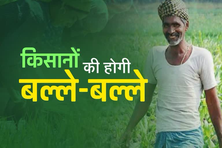 sikar news  sowing of kharif crop  kharif crop will increase  sowing of kharif crop will increase  farmer in sikar  farmer in rajasthan  etv bharat special news