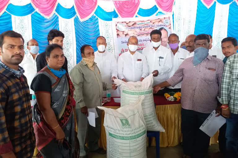 groundnut seeds distribution   to farmers in chittoor dst perleru