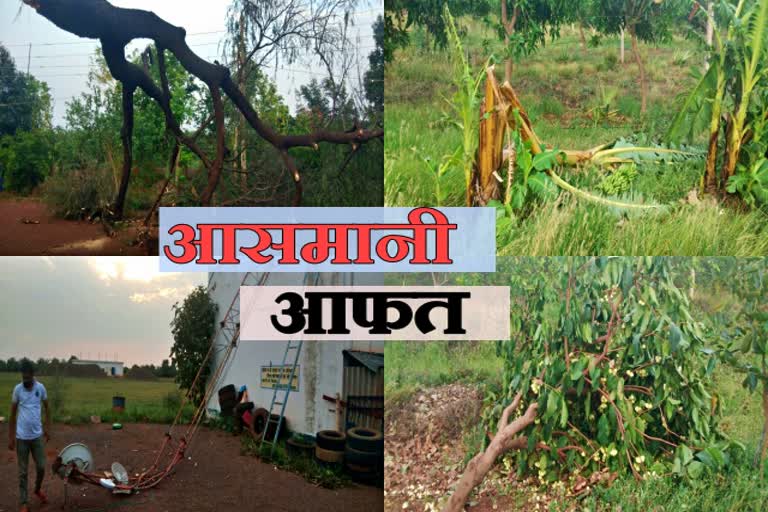 Damage to crops