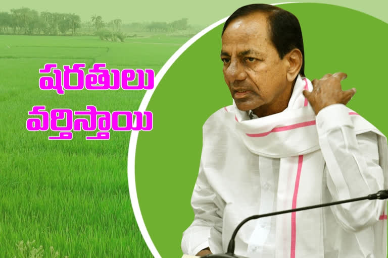 ts-govt-said-variety-is-not-paddy-the-farmer-does-not-apply-rythu-bandhu