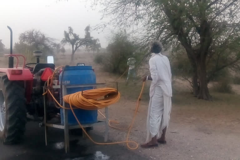 locust control in Barmer, locust attack in Barmer, बालोतरा में टिड्डी दल का हमला, टिड्डी नियंत्रण को लेकर कार्रवाई