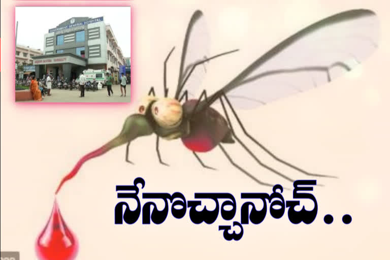 Increasing number of malaria cases in Vijayawada