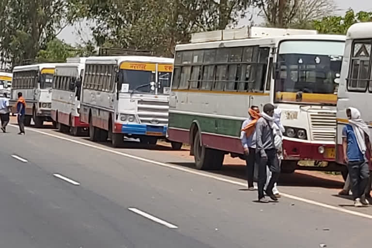 buses are standing on border