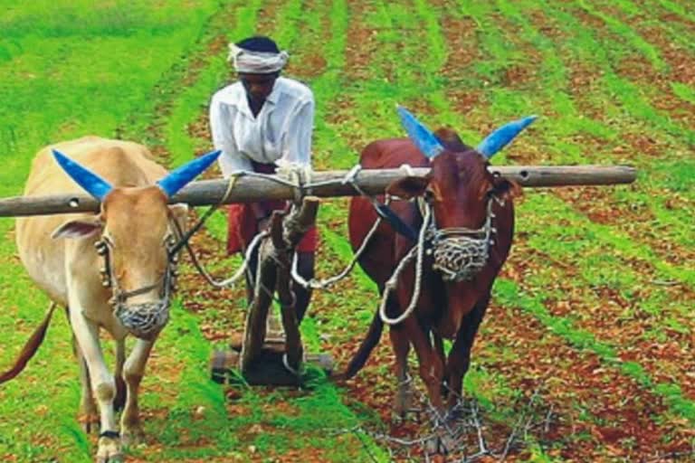 Farmers started agricultural activities