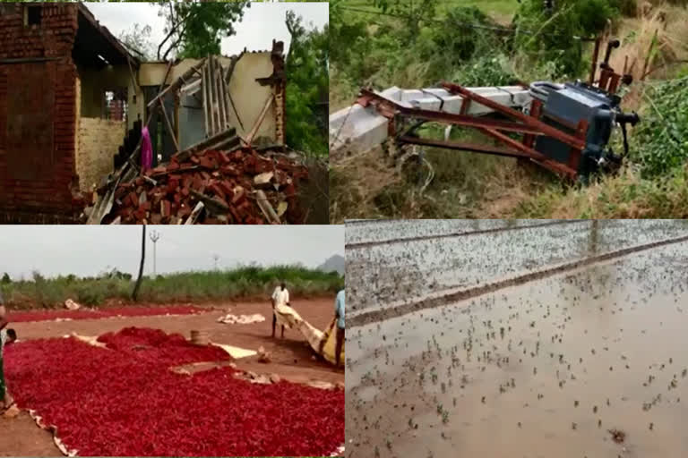 Heavy crop damage and stalled power supply in Nellore district