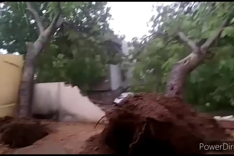 Heavy rain with tidal waves