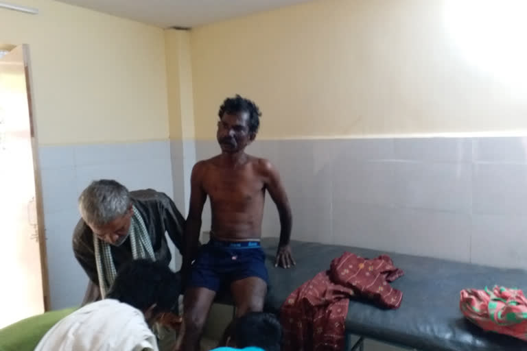 Bear attack on a tribal in kurnool  dst rudravaram