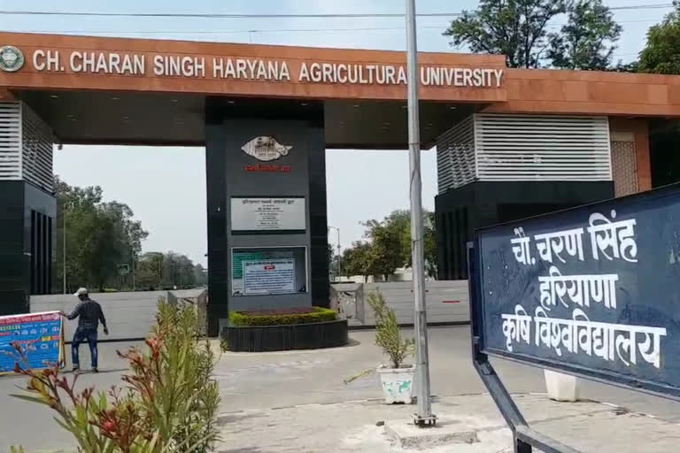 chaudhary charan singh haryana agricultural university has increased the date of online admission