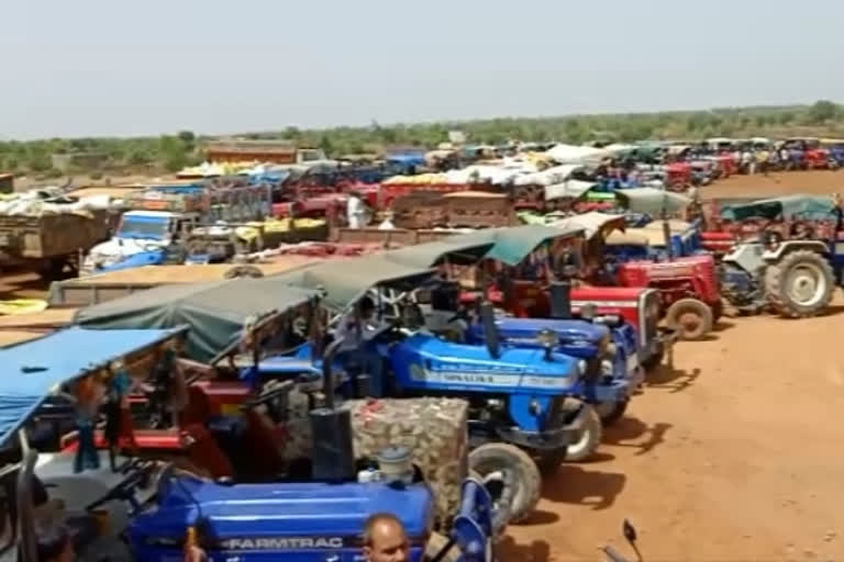 Shortage of gunny bags to fill wheat at the procurement center in agar