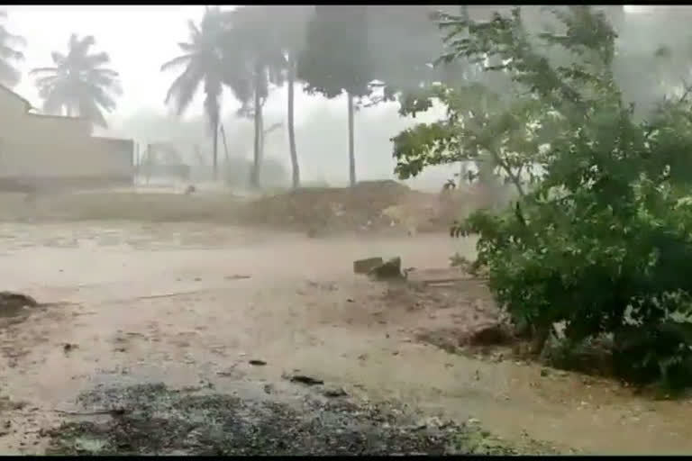 ಇಳೆಯನ್ನು ತಂಪೆರೆದ ವರುಣ