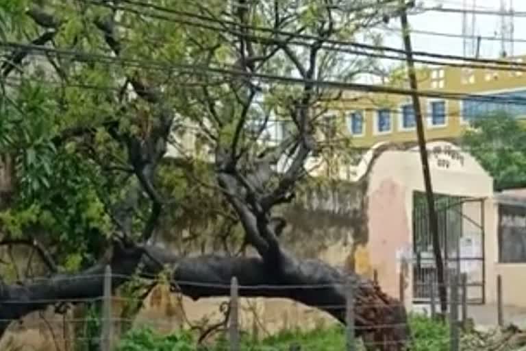 Cyclone impact in cuttack