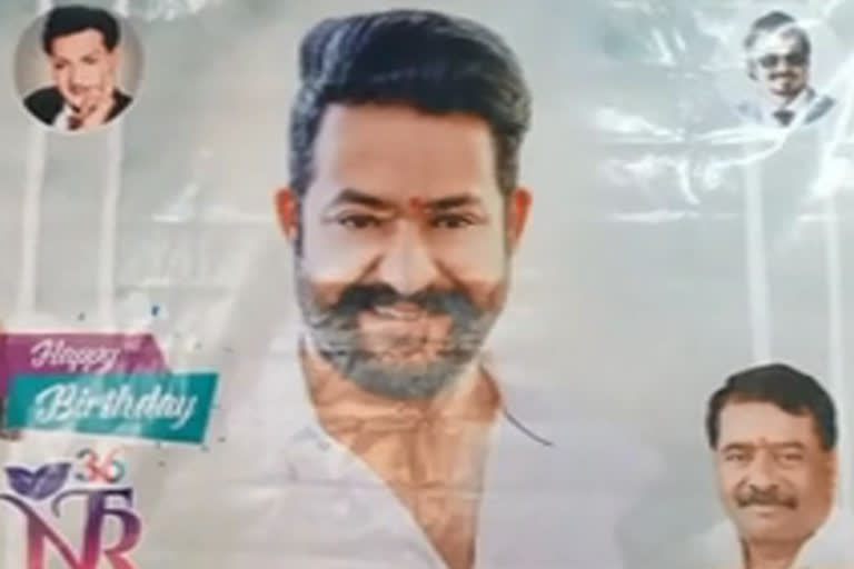 junior ntr birth celebrations in paayakarao pet vizag