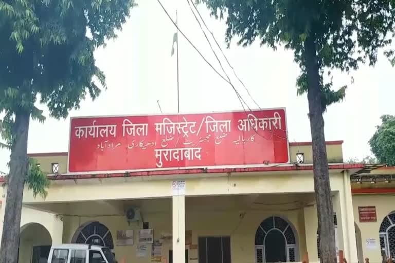 मुरादाबाद न्यूज