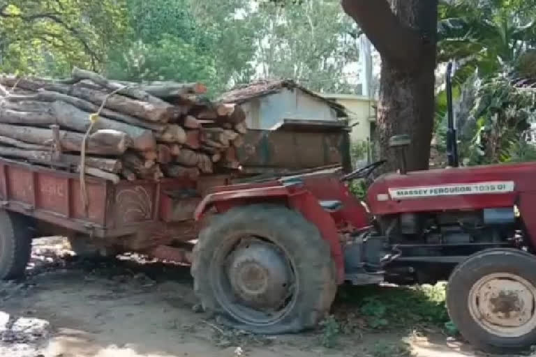 tractor loaded with illegal wooden seized in chatra