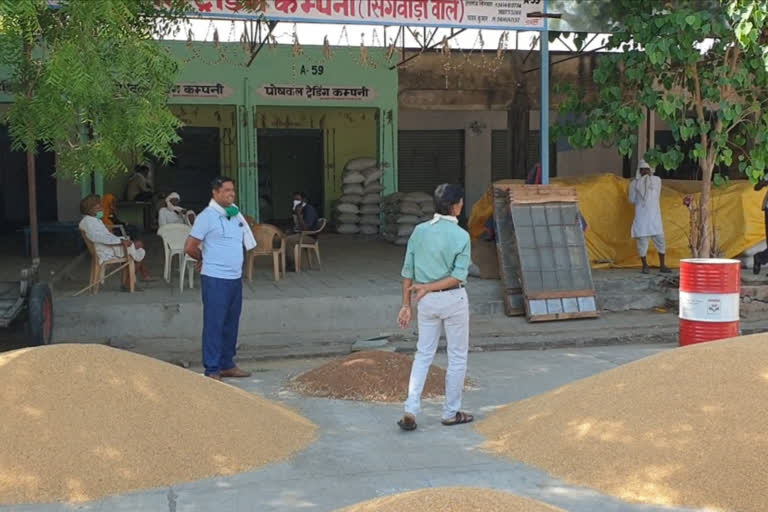 मंडी व्यापारियों की हड़ताल खत्म, Mandi traders strike ends