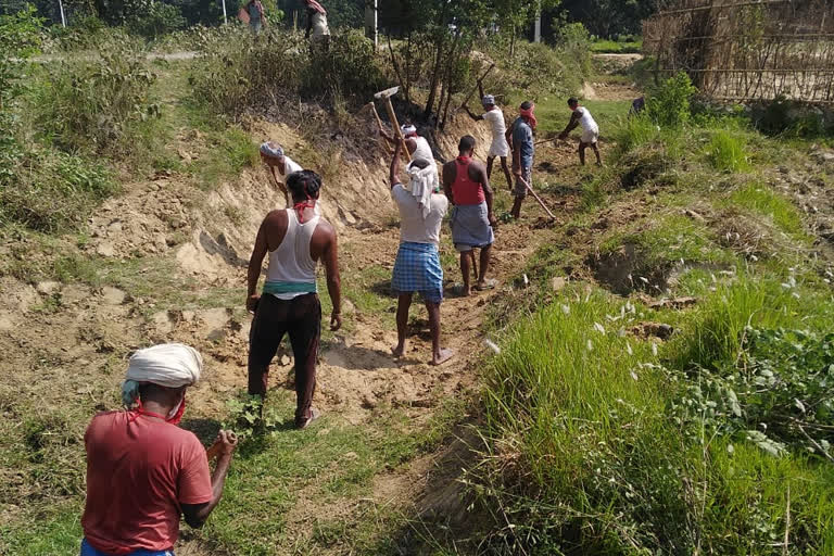 laborers got work in madhubani