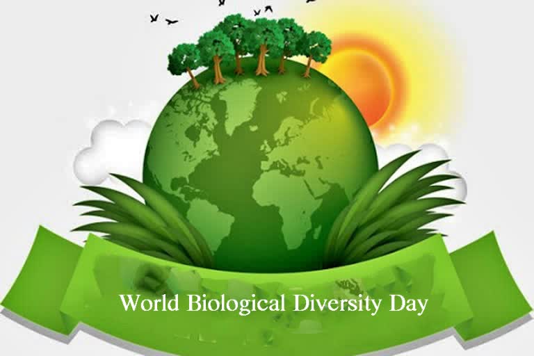 World Biological Diversity Day