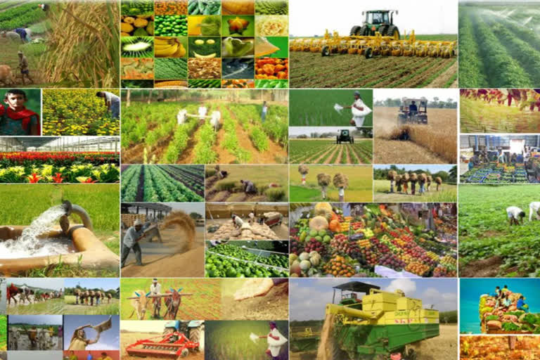 comprehensive agriculture policy, agriculture policy, କୃଷିକ୍ଷେତ୍ରରେ ଦରକାର ବ୍ୟାପକ ସଂସ୍କାର, କୃଷି ନୀତି ନିହାତି ଜରୁରୀ