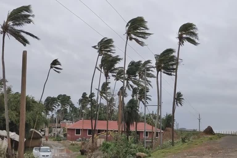 see-how-the-post-storm-situation-is-in-the-kendrapara