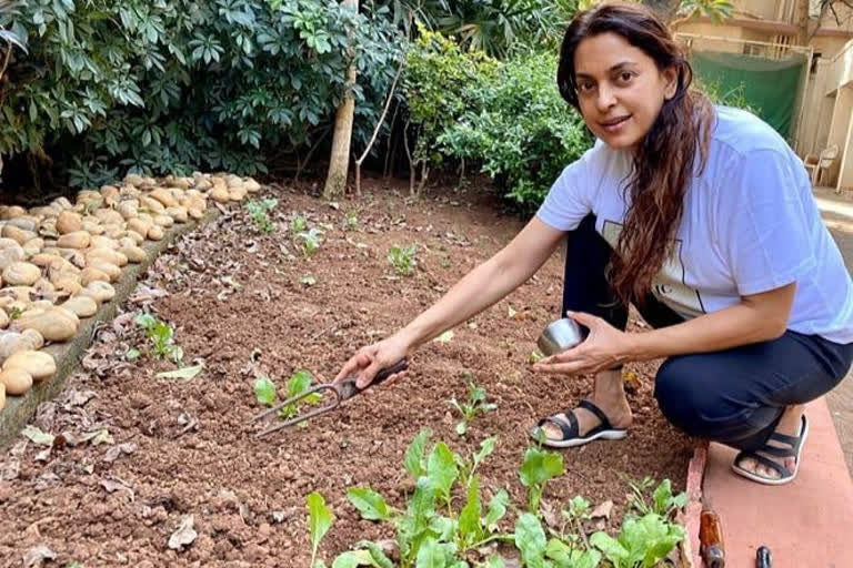 Juhi Chawla invites landless farmers