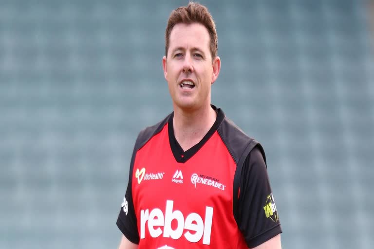 appoint lachlan Stevens as WBBL head coach