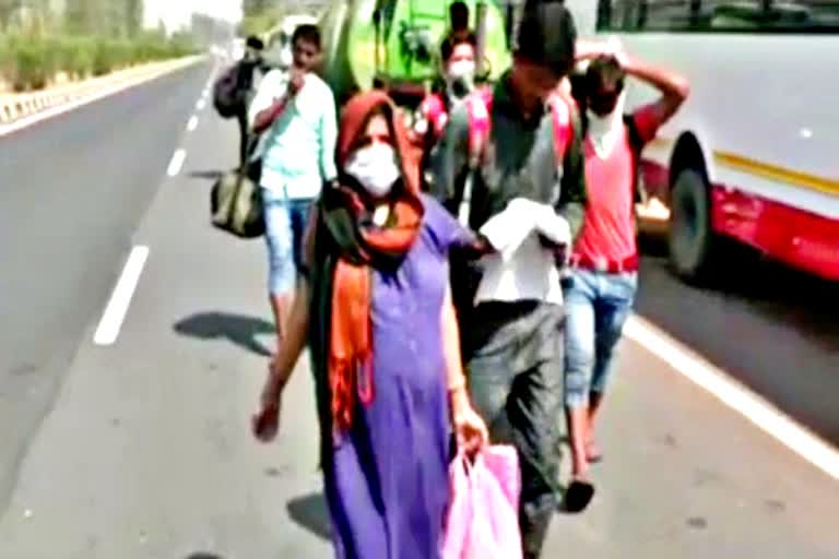 pregnant woman walking  surat to uttar pradesh with family  bharatpur news  migrant labour news  etv bharat news  bus politics