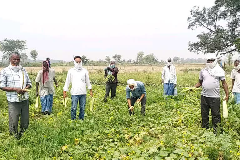 ग्रामीणों को मुफ्त में सब्जियां उपलब्ध कराते पंचराम