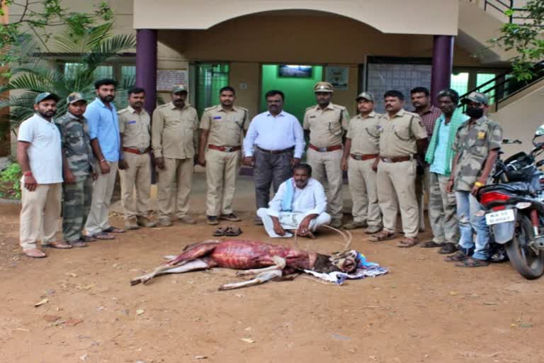 chamarajanagar-forest-informer-arrest