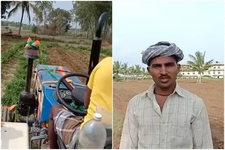 mukkal-farmer-destroyed-chilli-crops