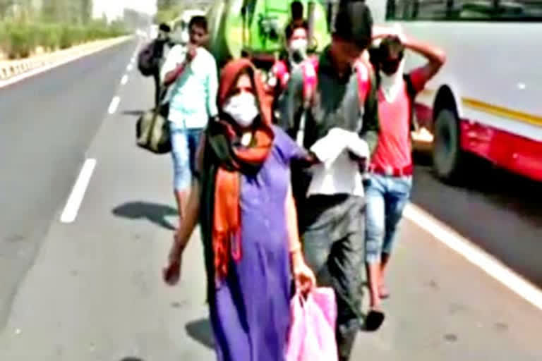 regnant woman walking  surat to uttar pradesh with family  bharatpur news  migrant labour news  etv bharat news  bus politics  குடிப்பெயர்ந்த தொழிலாளர்கள்  பாரத்பூர் செய்திகள்  கர்ப்பிணி 1000கி.மீ நடைப்பயணம்  கர்ப்பிணி  கர்ப்பிணி நடைப்பயணம்