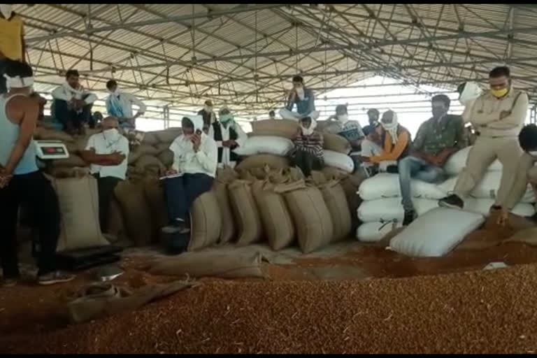 Simaria Tehsildar Prem Narayan Singh inspected the gram buying center