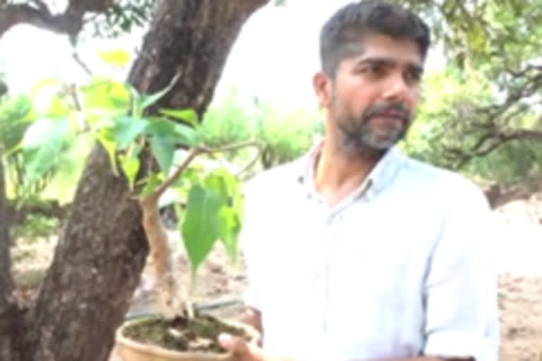 Bonsai  bonsai lover  കസർകോട്  കാഞ്ഞങ്ങാട്