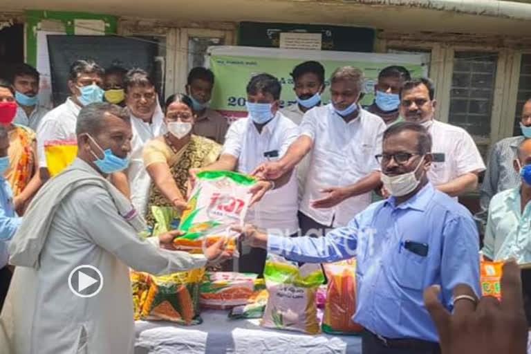 Sowing seed distribution