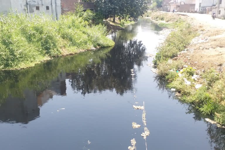 buddha nala's water turns black after factories resume work