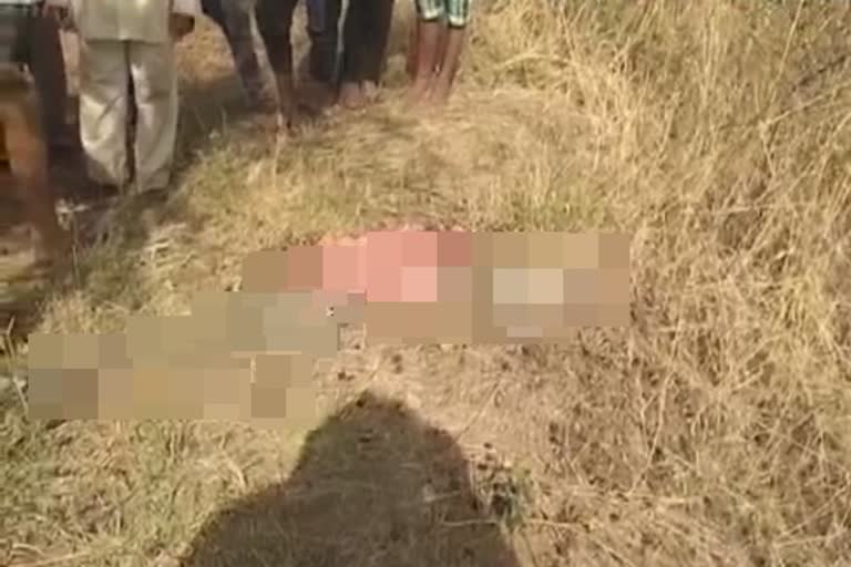 leopard death news nashik  nashik latest news  नाशिक लेटेस्ट न्युज  नाशिक बिबट्या मृत्यू बातमी