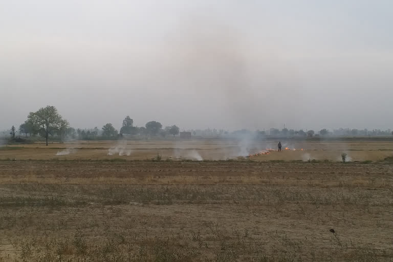 17 farmers fined for burning wheat residue in gohana