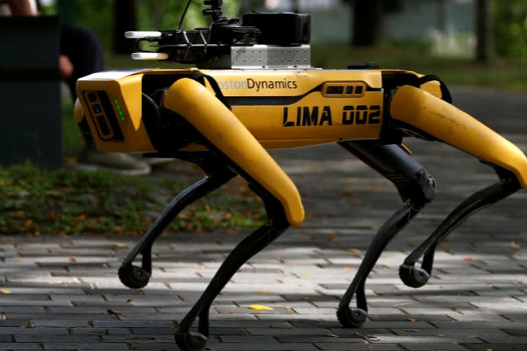 Coronavirus: Robot Dog on Park Patrol in Singapore