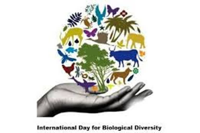 International day for biological diversity, nature, species, mankind, biodiversity, ଅନ୍ତର୍ଜାତୀୟ ଜୈବ ବିବିଧତା ଦିବସ, ମାନବ ଜାତି, ପ୍ରକୃତି, ପରିବେଶ, environment, ପ୍ରଜାତି, ପଶୁପକ୍ଷୀ, animals