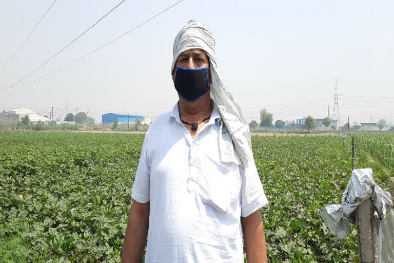 Farmer Farid Ahmed