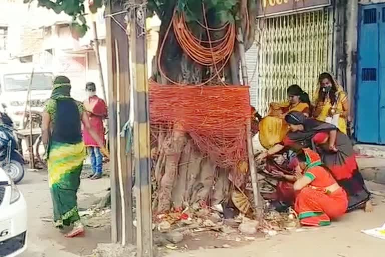 Vat Savitri Puja during lockdown