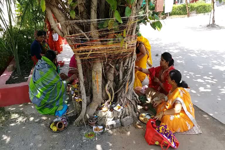 Women worshiping Vat vriksh