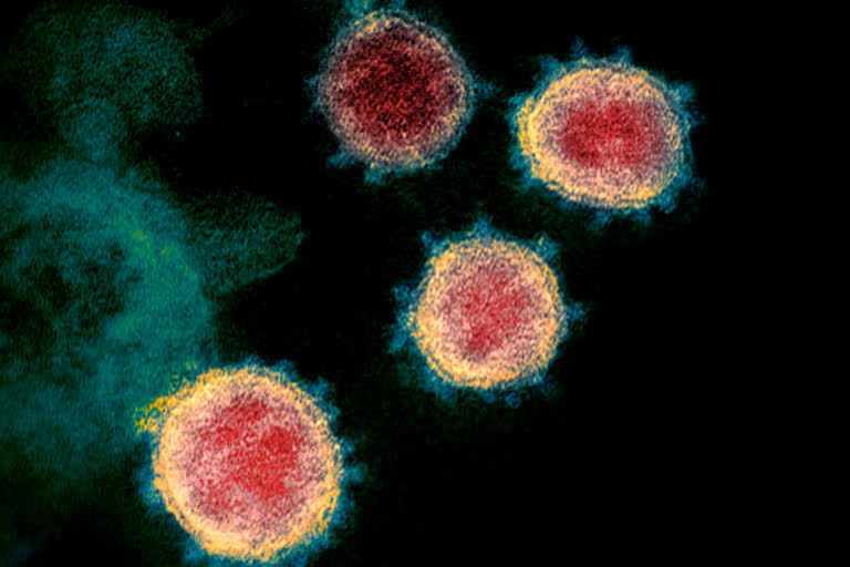 Coronavirus