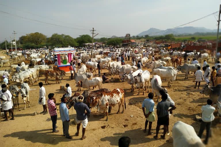 devarakadra market stopped due to lock down