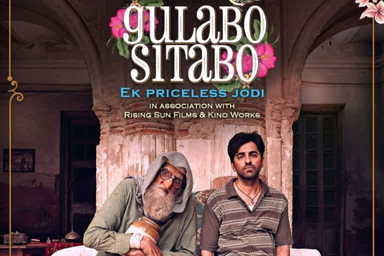 Gulabo sitabo official trailer out now