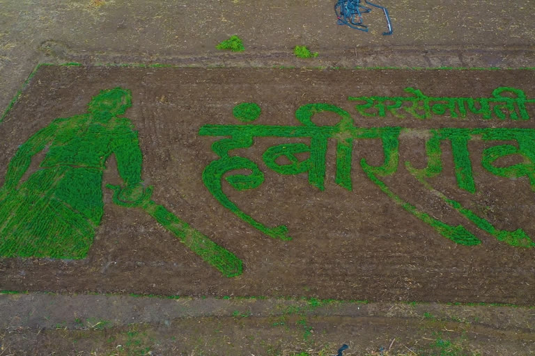 grass painting of hambirrao mohite  sarsenapati hambirrao mohite movie  सरसेनापती हंबीरराव मोहिते  सरसेनापती हंबीरराव मोहिते चित्रपट  सरसेनापती हंबीरराव मोहिते ग्रास पेंटीग  उस्मानाबाद लेटेस्ट न्युज