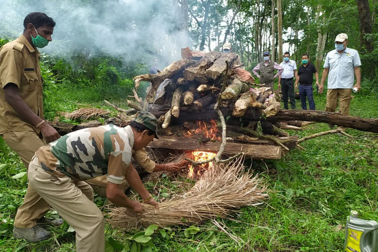 কাজিৰঙা