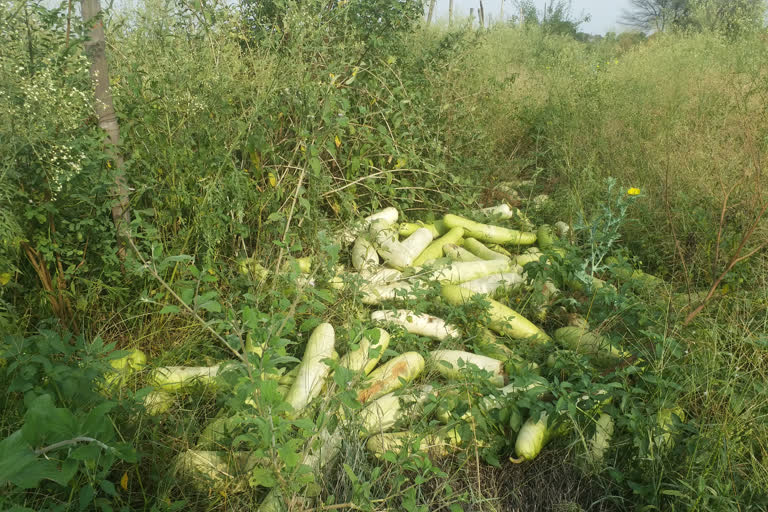 Farmers are unable to sell their crops in dhamtari