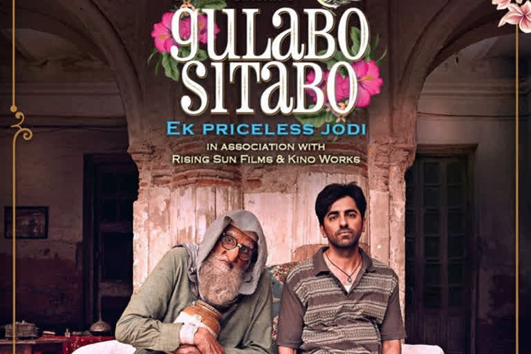 gulabo sitabo official trailer out now