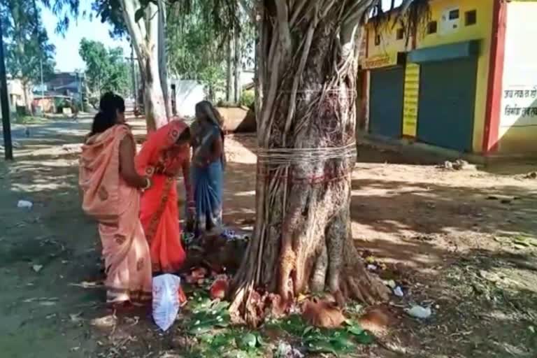 Vat Savitri Pooja